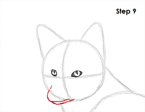 Red Fox Drawing 9 Draw Red Fox 9