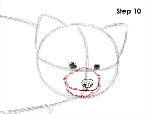 Red Panda Drawing 10 Draw Red Panda 10