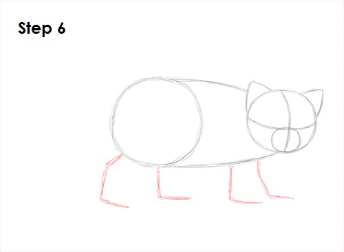 Red Panda Drawing 6 Draw Red Panda 6