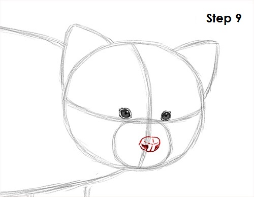 Red Panda Drawing 9 Draw Red Panda 9