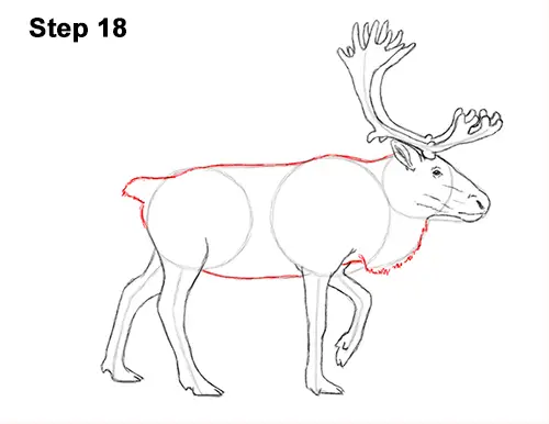 draw reindeer caribou 18