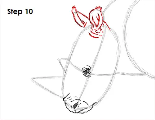 Rhinoceros Drawing 10 Draw Rhinoceros 10