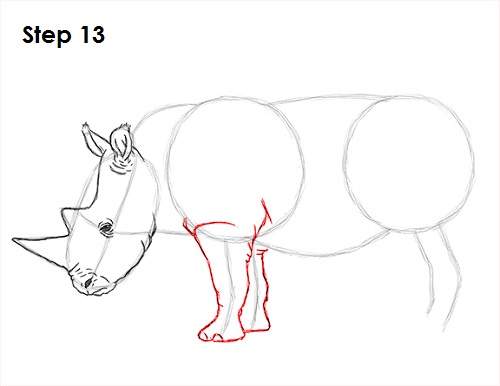 Rhinoceros Drawing 13 Draw Rhinoceros 13