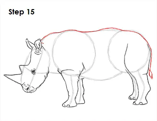 Rhinoceros Drawing 15 Draw Rhinoceros 15