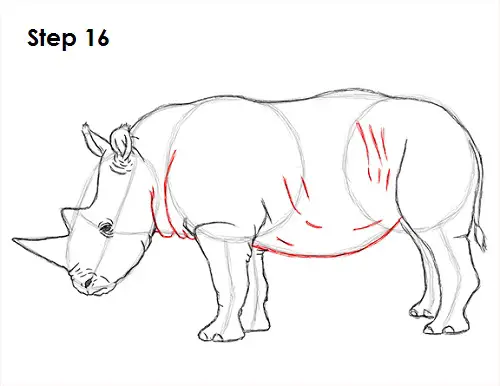 Rhinoceros Drawing 16 Draw Rhinoceros 16