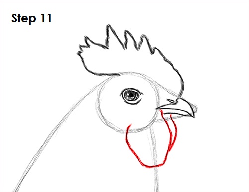 Rooster Drawing 11 Draw Rooster 11