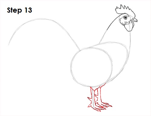 Rooster Drawing 13 Draw Rooster 13