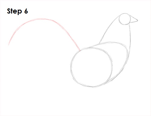 Rooster Drawing 6 Draw Rooster 6