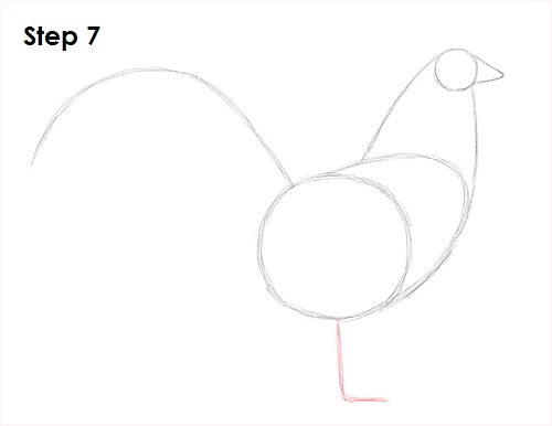 Rooster Drawing 7 Draw Rooster 7