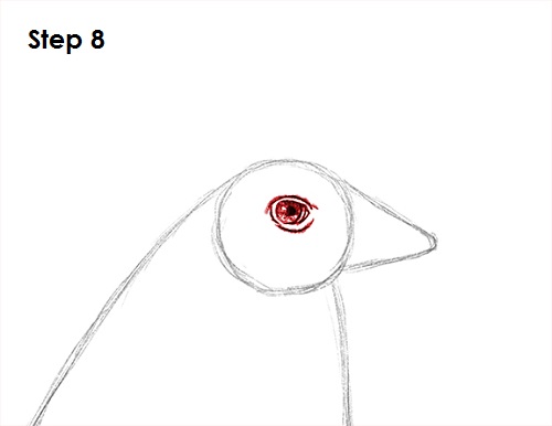 Rooster Drawing 8 Draw Rooster 8