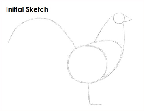 Rooster Drawing Sketch Draw Rooster Sketch