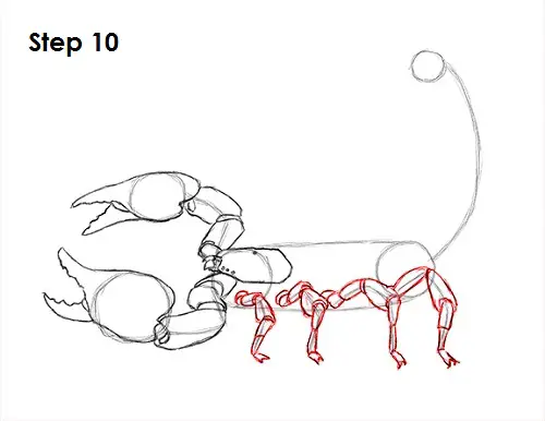 Scorpion Drawing 10 Draw Scorpion 10