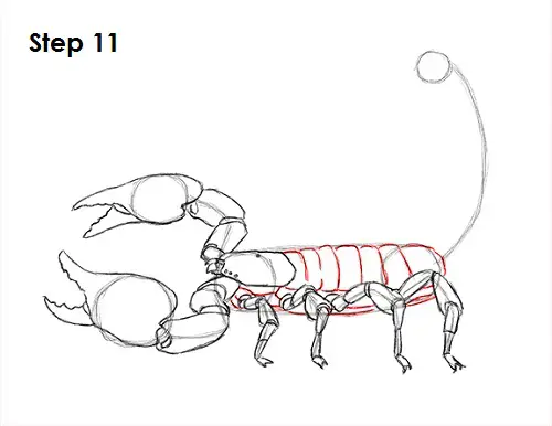 Scorpion Drawing 11 Draw Scorpion 11