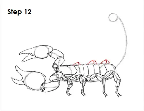 Scorpion Drawing 12 Draw Scorpion 12