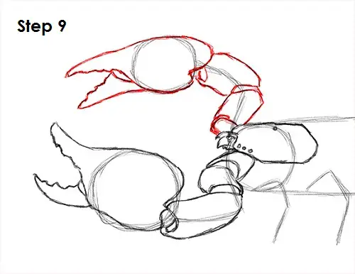 Scorpion Drawing 9 Draw Scorpion 9