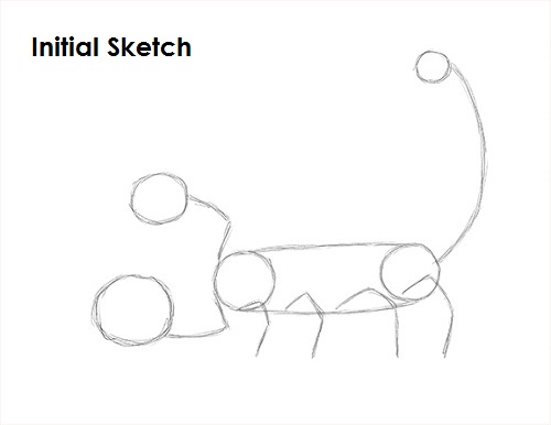 Scorpion Drawing Sketch Draw Scorpion Sketch