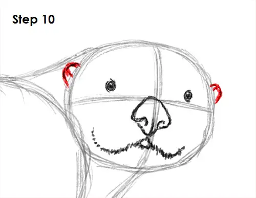 Sea Otter Drawing 10 Draw Sea Otter 10