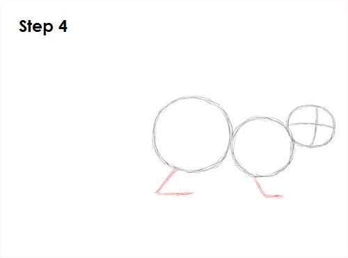 Sea Otter Drawing 4 Draw Sea Otter 4