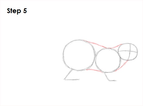 Sea Otter Drawing 5 Draw Sea Otter 5