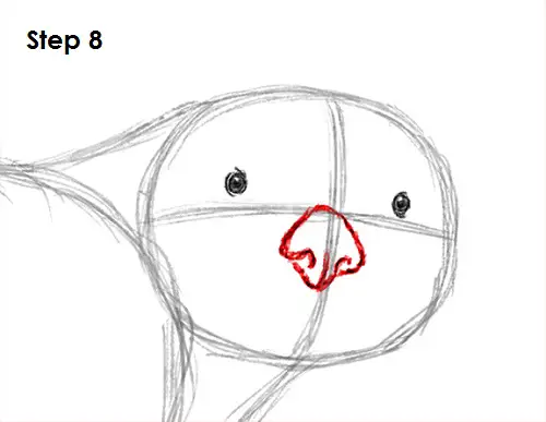 Sea Otter Drawing 8 Draw Sea Otter 8