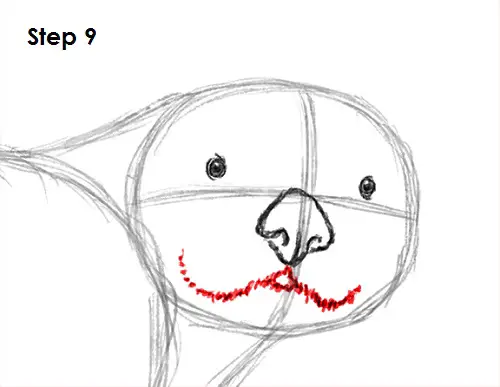 Sea Otter Drawing 9 Draw Sea Otter 9