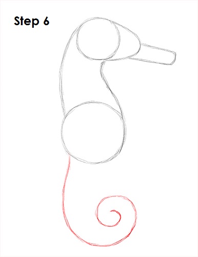 Seahorse Drawing 6 Draw a Seahorse 6