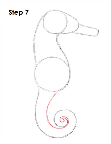Seahorse Drawing 7 Draw a Seahorse 7