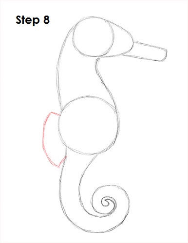 Seahorse Drawing 8 Draw a Seahorse 8
