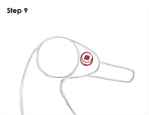 Seahorse Drawing 9 Draw a Seahorse 9