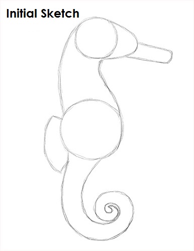 Seahorse Drawing Sketch Draw a Seahorse Sketch