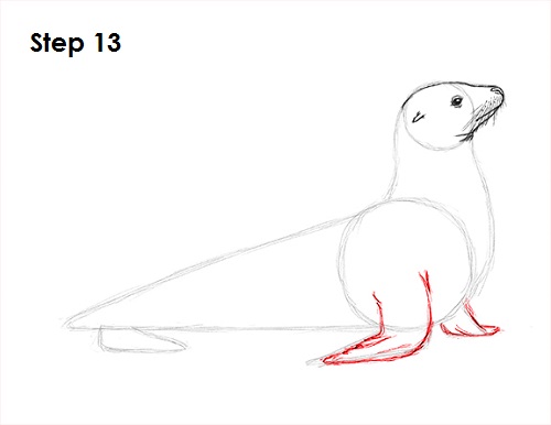 Seal Drawing 13 Draw Seal 13