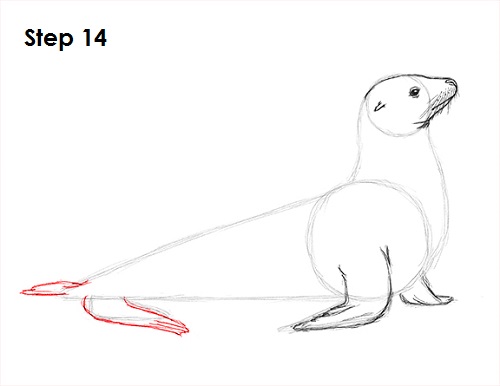 Seal Drawing 14 Draw Seal 14