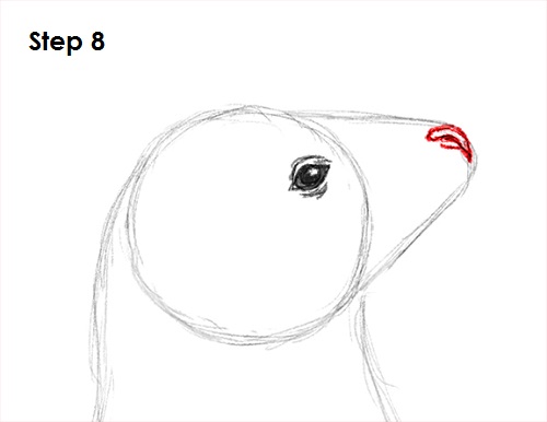 Seal Drawing 8 Draw Seal 8
