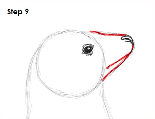 Seal Drawing 9 Draw Seal 9