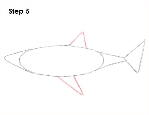Great White Shark Drawing 5 Draw Great White Shark 5