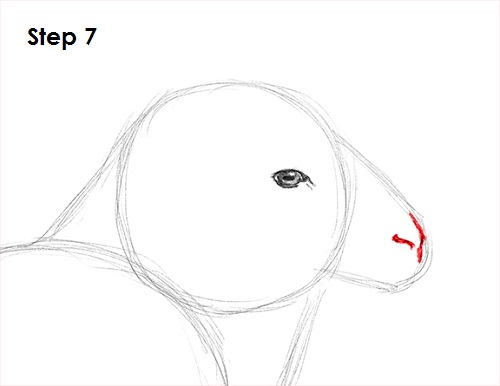 Sheep Drawing 7 Draw Sheep 7