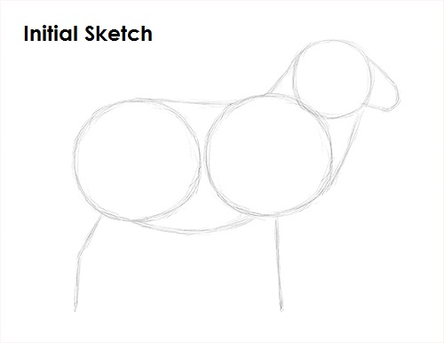 Sheep Drawing Sketch Draw Sheep Sketch