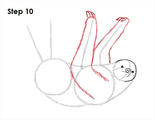 Sloth Drawing 10 Draw Sloth 10