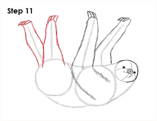 Sloth Drawing 11 Draw Sloth 11