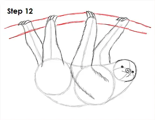 Sloth Drawing 12 Draw Sloth 12
