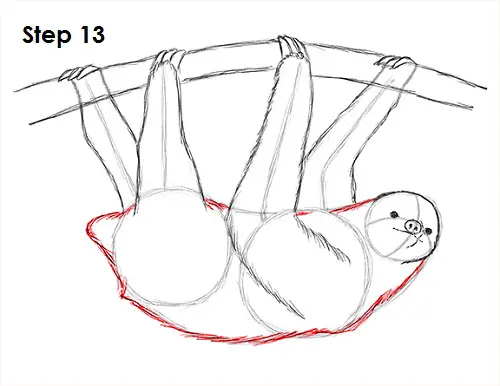 Sloth Drawing 13 Draw Sloth 13