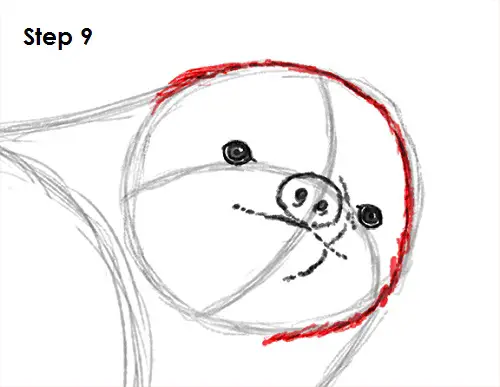 Sloth Drawing 9 Draw Sloth 9