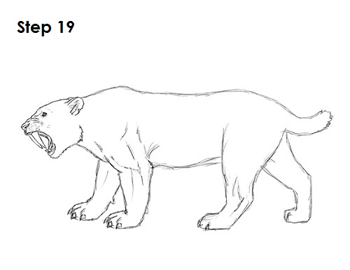 saber tooth cat coloring pages - photo #28