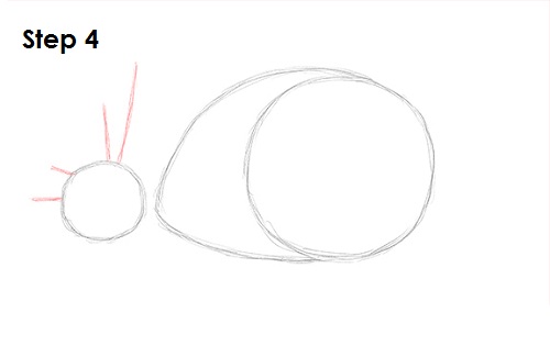 Snail Drawing 4 Draw Snail 4