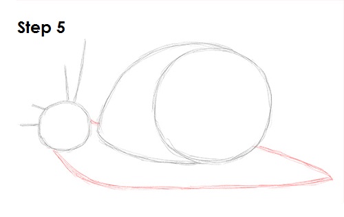 Snail Drawing 5 Draw Snail 5