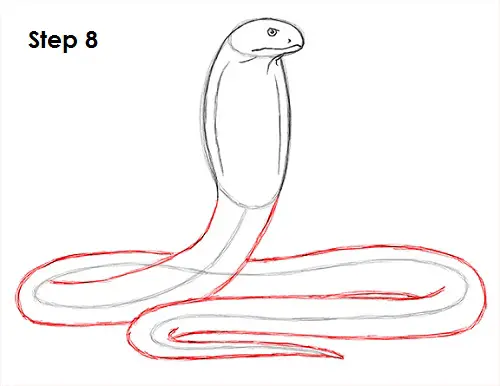 King Cobra Snake Drawing 8 Draw King Cobra Snake 8