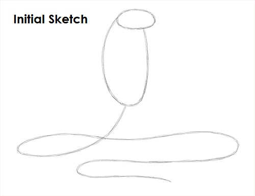 King Cobra Snake Drawing Sketch Draw King Cobra Snake Sketch
