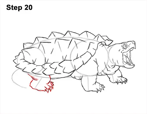 how to draw an alligator snapping turtle