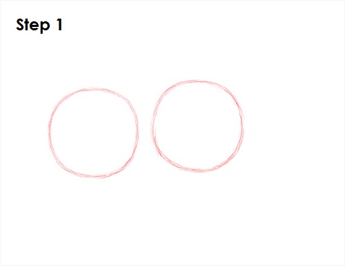 Snow Leopard Drawing 1 Draw Snow Leopard 1