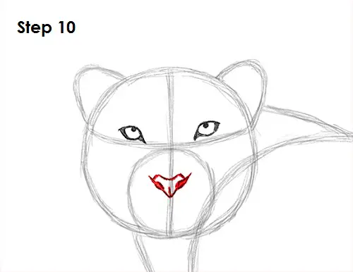 Snow Leopard Drawing 10 Draw Snow Leopard 10